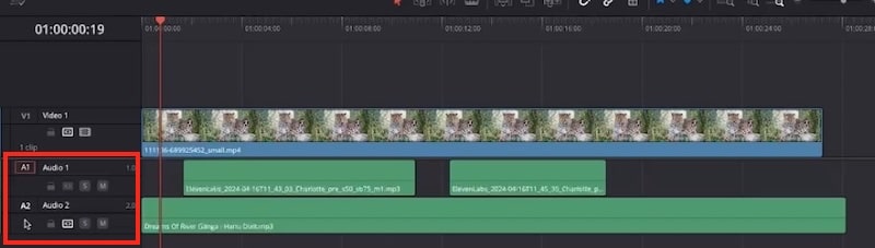 selezione audio musica davinci resolve
