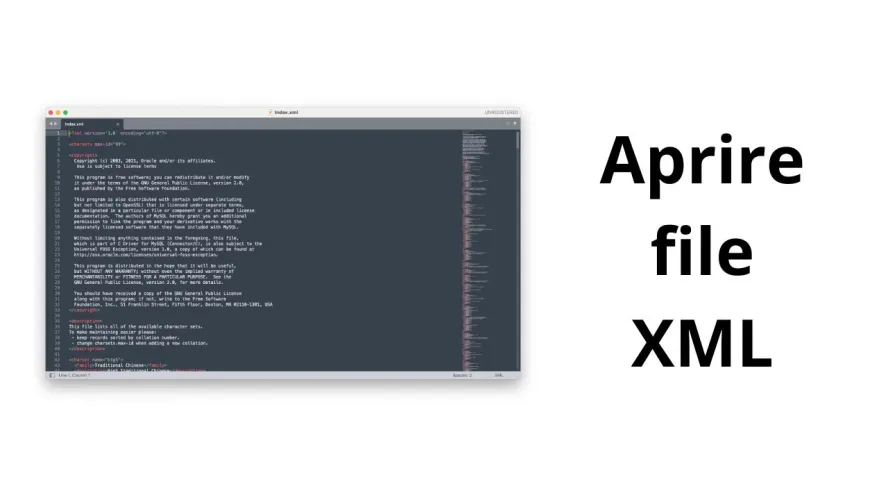aprire file xml 