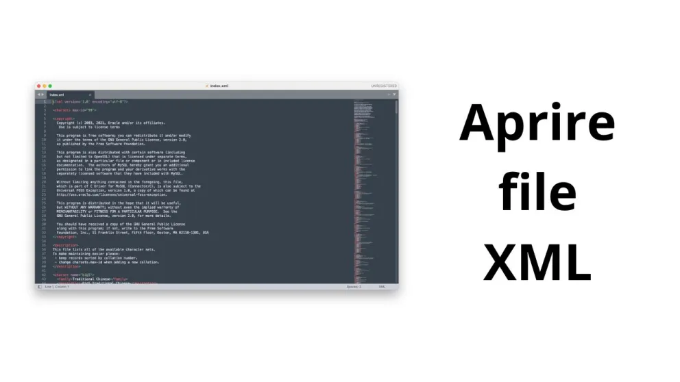 aprire file xml 