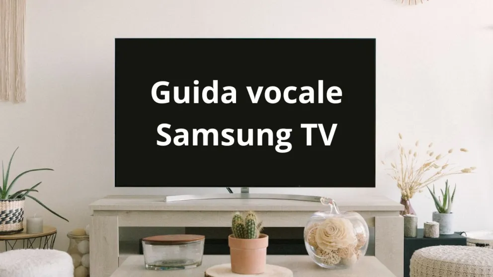 guida vocale samsung tv