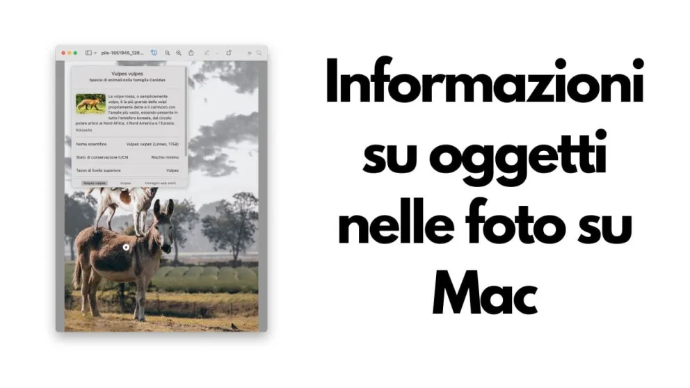 info oggetti foto mac