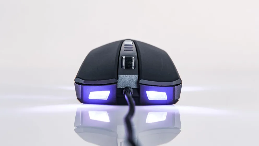 mouse